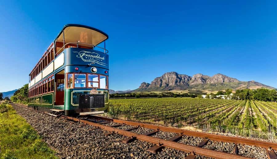 From Cape Town: Winelands Full Day Tour and Wine Tasting - From Cape Town to Stellenbosch vineyards