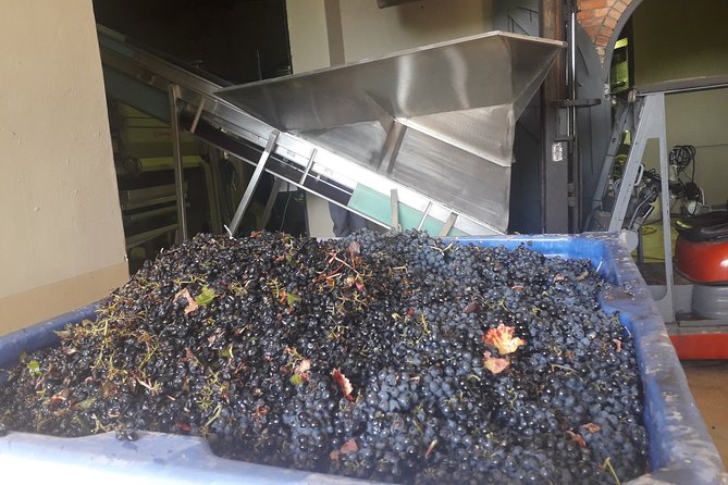 From CapeTown: Stellenbosch Half Day Wine Tour - The drive north from Cape Town