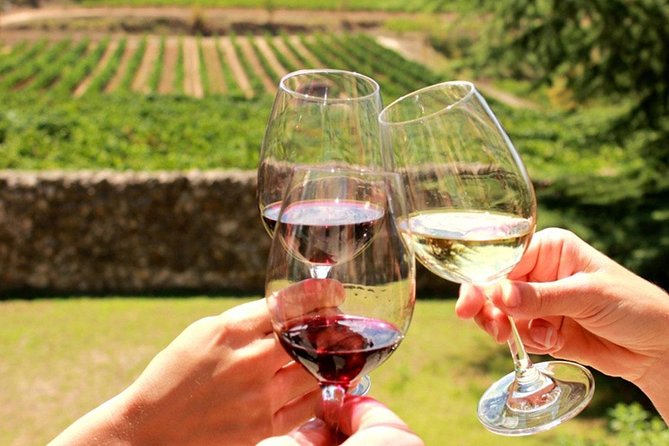 From CapeTown: Stellenbosch Half Day Wine Tour - Second tasting: five wines and South African biltong