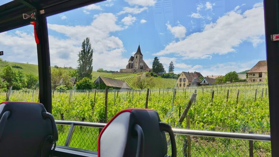 From Colmar: Alsace Medieval and Wine Tasting Day Tour - Is 165 dollars a fair price?