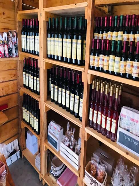 From Dubrovnik: Half-Day Wine Tasting and Cavtat City Tour - Key points to know before booking
