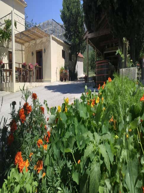 From Dubrovnik: Half-Day Wine Tasting and Cavtat City Tour - Inside the family winery in Konavle Valley