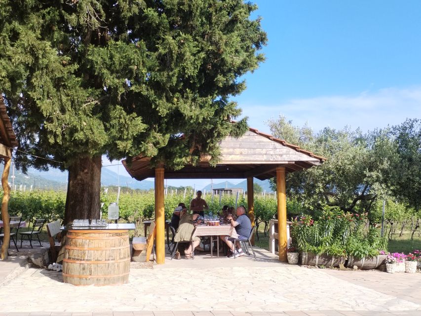 From Dubrovnik: Half-Day Wine Tasting and Cavtat City Tour - The homemade food is part of the main event