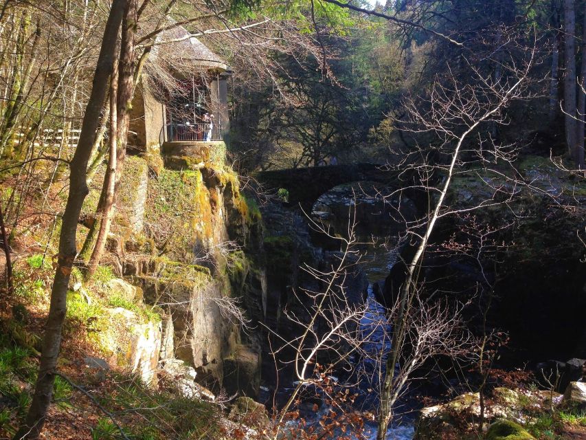 From Edinburgh: Full Day Scottish Highlands and Whisky Tour - Who should book this tour