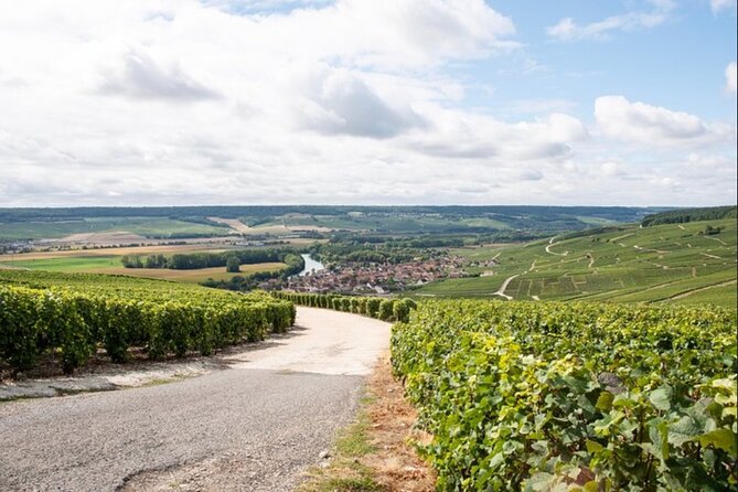 From Epernay: Champagne Small-Group tour with tastings & Lunch - Booking and practical details
