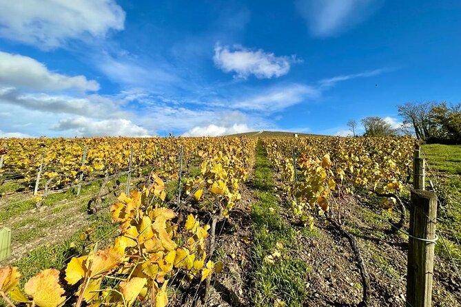 From Epernay: Champagne Small-Group tour with tastings & Lunch - Hautvillers and the Dom Pérignon connection