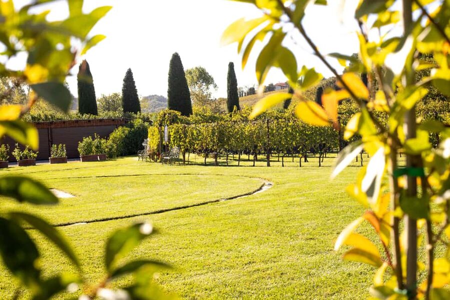 From Florence: Chianti Half-Day Wine Tour with Tasting - Poggio ai Laghi and the first tasting