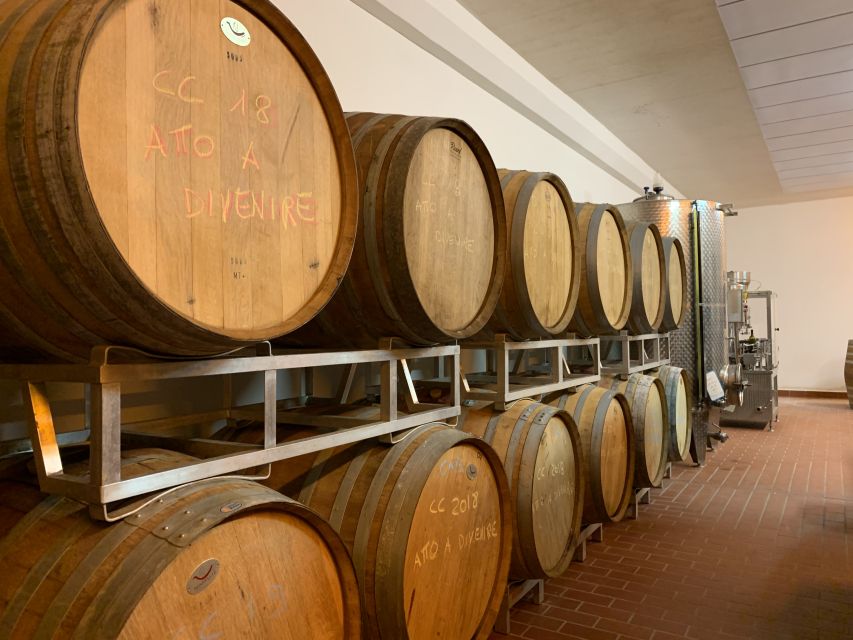 From Florence: Chianti Hills Half-Day Tour with Wine Tasting - Who should choose this Chianti tour?