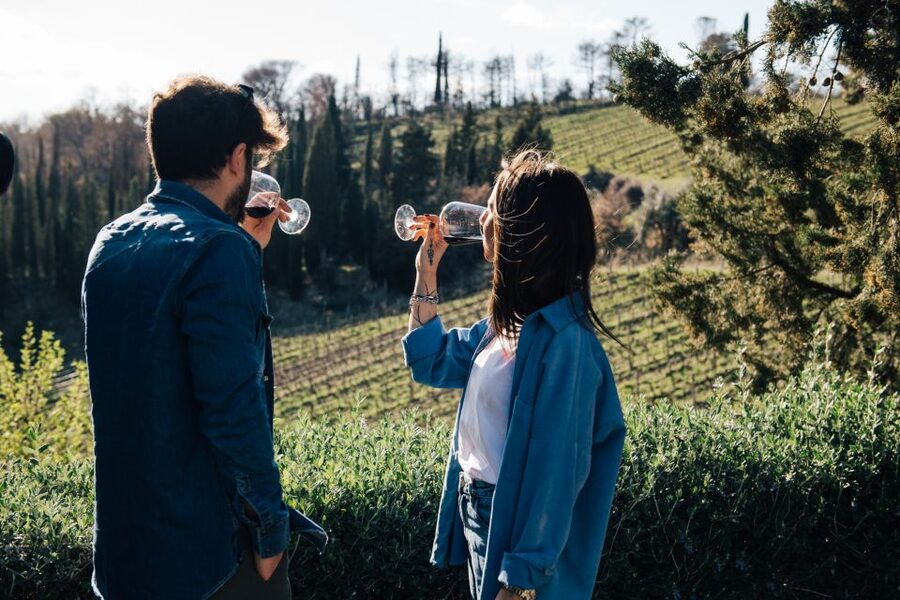 From Florence: Chianti Hills Half-Day Tour with Wine Tasting - Walking among the vines