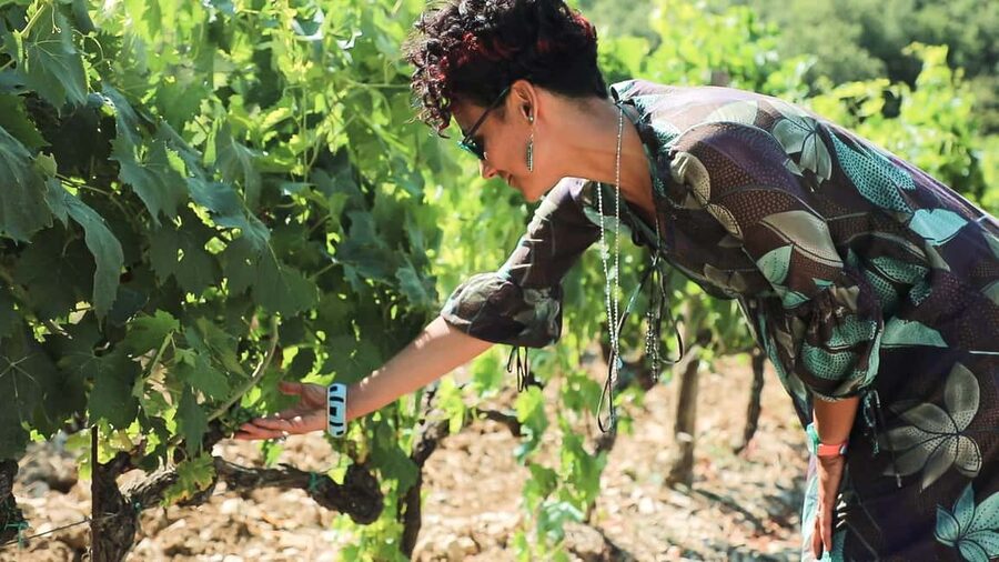 From Florence: Chianti Tour with Two Wine and Food Tastings - First winery: an intimate introduction to Chianti