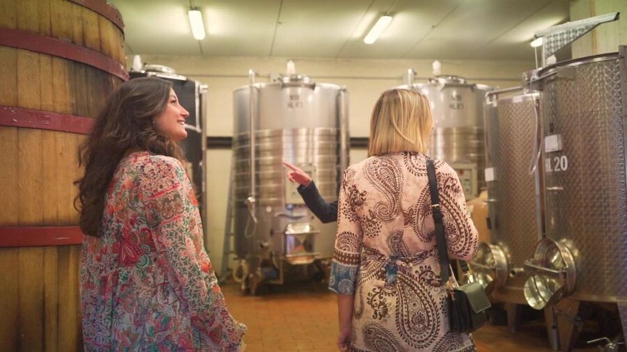 From Florence: Chianti Tour with Two Wine and Food Tastings - What you actually taste