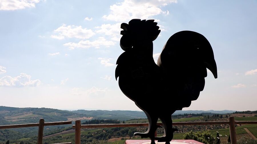 From Florence: Chianti Tour with Two Wine and Food Tastings - Is $58 good value?