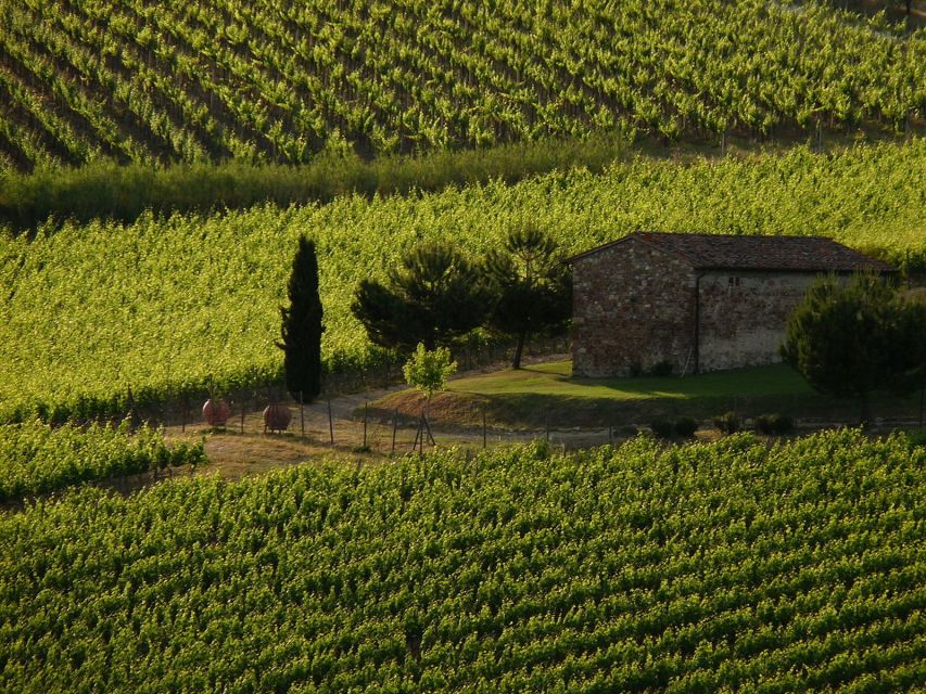 From Florence: Chianti Wine Tastings at Sunset Day Trip - Key points at a glance
