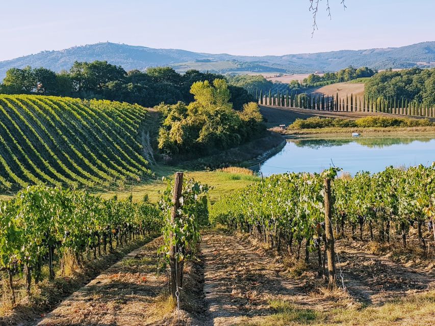 From Florence: Chianti Wine Tastings at Sunset Day Trip - Two estates, two different wine experiences