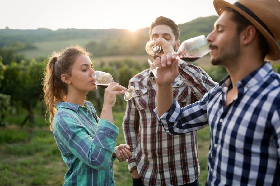 From Florence: Chianti Wine Tour with Tasting - Should you book this Chianti wine tour?
