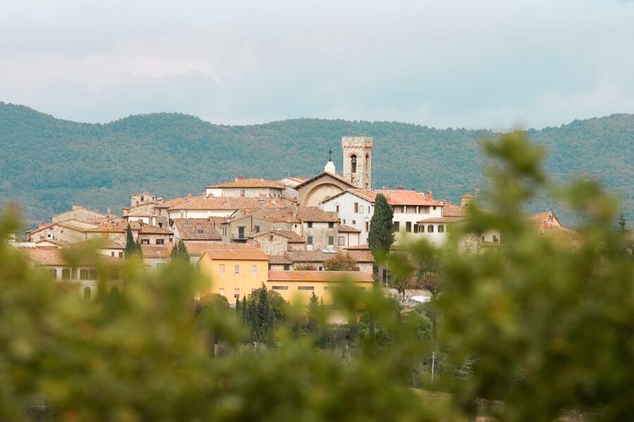 From Florence: Private Chianti Hills Tour with Tasting - The winery visit among vineyards and olive groves