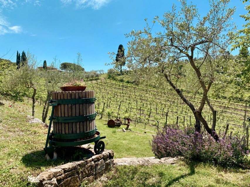 From Florence: Private Chianti Hills Tour with Tasting - Six wines, local food, and what you actually taste