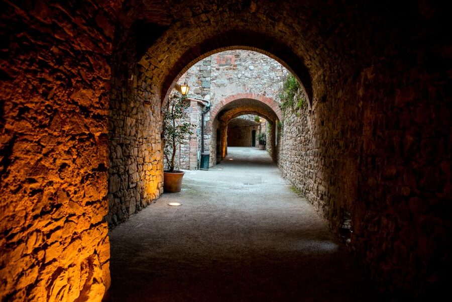 From Florence: Private Chianti Hills Tour with Tasting - Who will enjoy this outing most