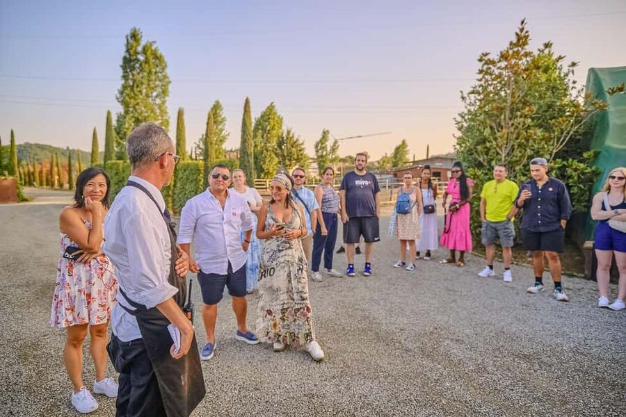 From Florence: Siena and Chianti Wine Tour with Dinner - Guides, drivers, and the group experience