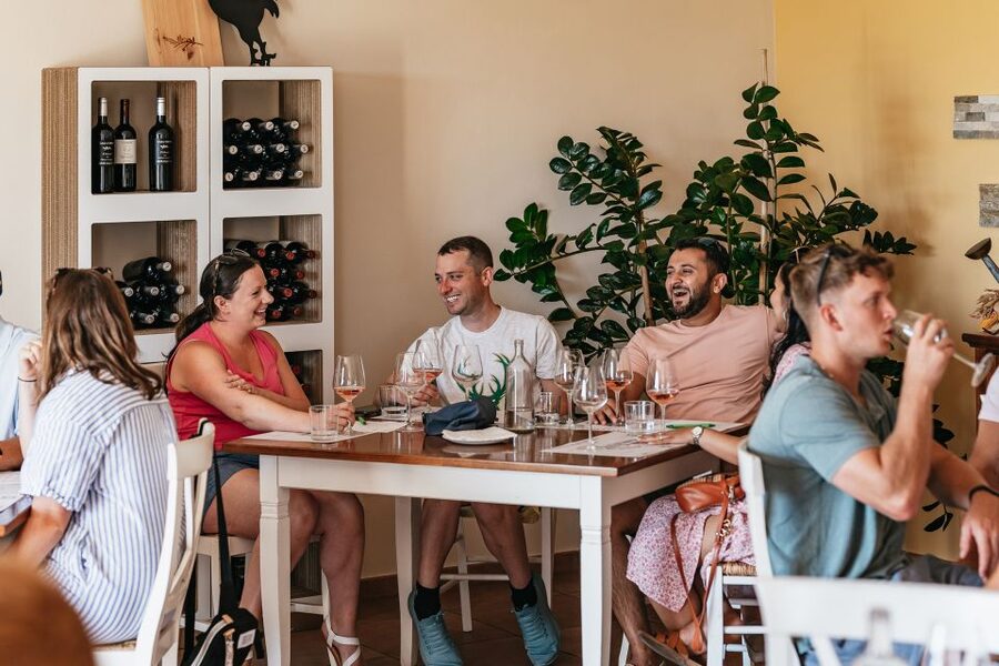 From Florence: Small Group Wine Tasting Tour to Tuscany - What the small group changes