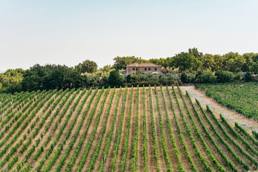 From Florence: Small Group Wine Tasting Tour to Tuscany - When to book, and what to wear