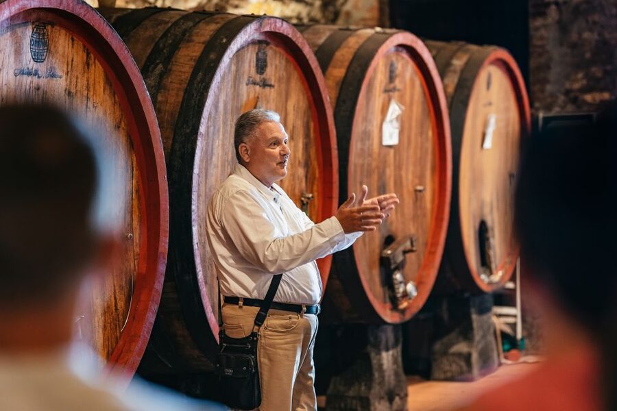 From Florence: Small Group Wine Tasting Tour to Tuscany - Should you book this Chianti wine tour?