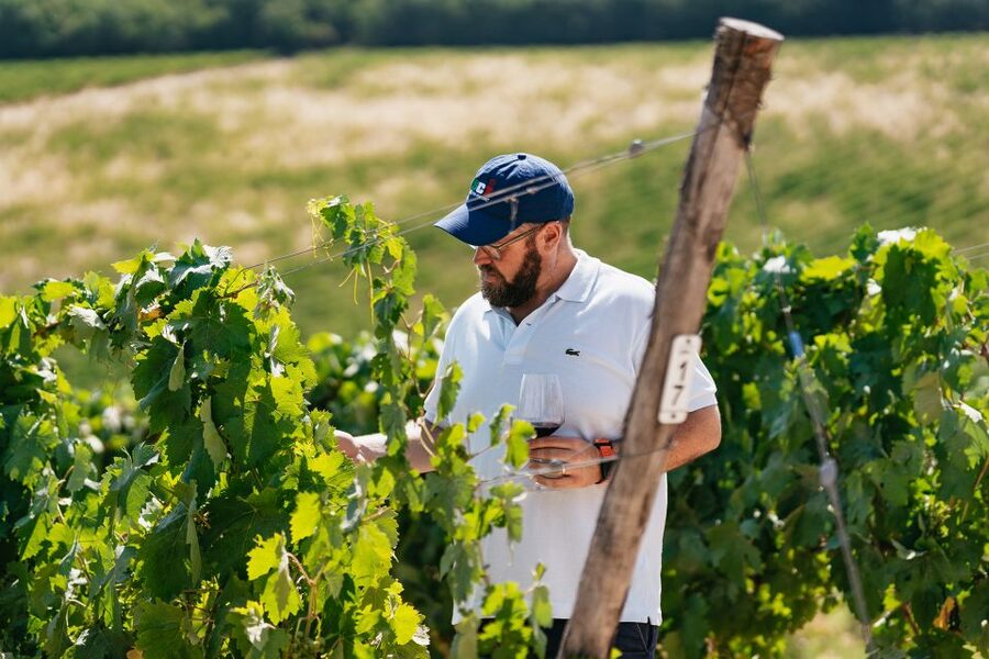 From Florence: Small Group Wine Tasting Tour to Tuscany - The first winery: wine, olive oil, and cellar traditions