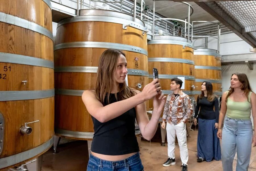 From Florence: Tuscany, Siena, San Gimignano & Winery Lunch - The Chianti winery lunch