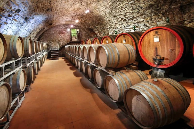 From Florence: Tuscany Wine & Food Tour with Guide - Key points at a glance