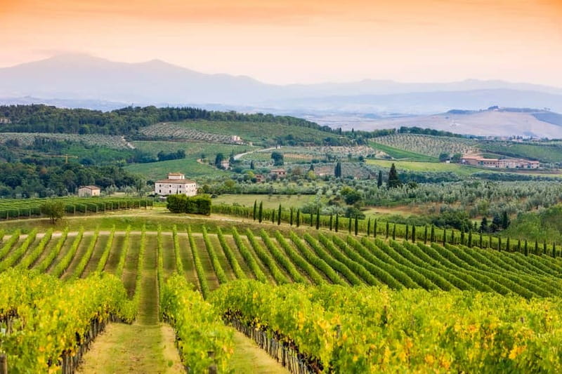 From Florence: Tuscany Wine & Food Tour with Guide - Is $175 a fair price?