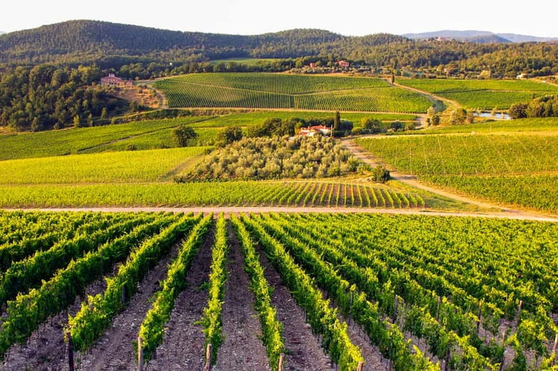 From Florence: Tuscany Wine & Food Tour with Guide - Who should book this day trip?