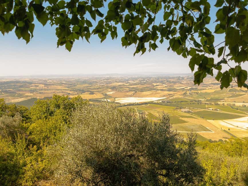 From Florence: Val D'Orcia Tour with Wine Tasting - Montepulciano, cellars, and Vino Nobile