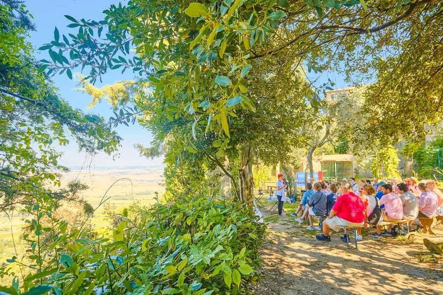 From Florence: Val D'Orcia Tour with Wine Tasting - How the timing feels across 11.5 hours