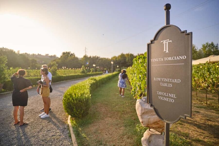 From Florence: Wine Tasting and Dinner in Chianti Vineyards - Key points at a glance