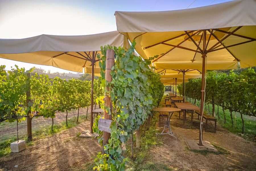 From Florence: Wine Tasting and Dinner in Chianti Vineyards - The first estate explains Chianti from the ground up