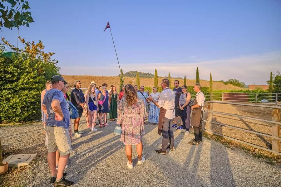 From Florence: Wine Tasting and Dinner in Chianti Vineyards - Why the two-stop format works