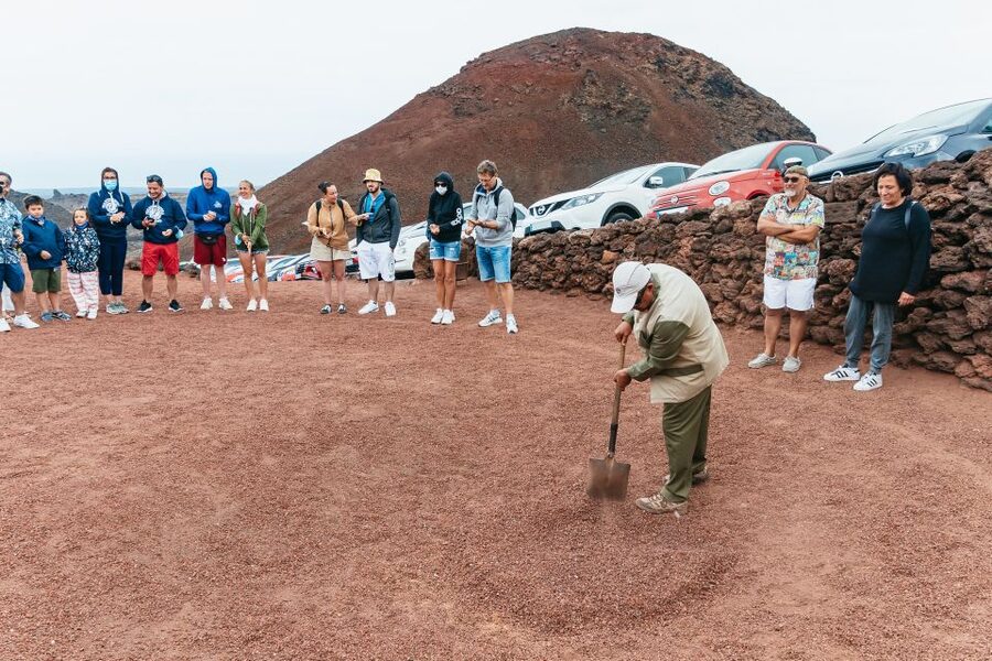 From Fuerteventura: Lanzarote Trip with Wine Tasting & Lunch - Should you book it?