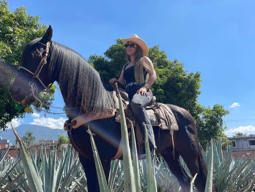 From Guadalajara: Tequila Town and Cantaritos El Guero - From Guadalajara to the agave fields