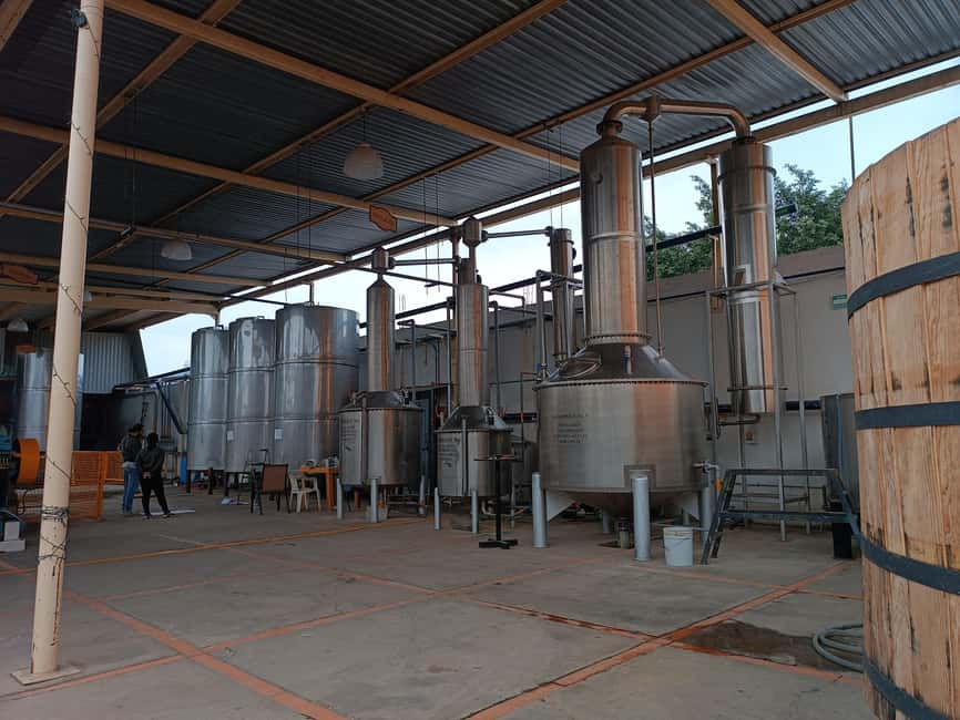 From Guadalajara: Tequila Town and Cantaritos El Guero - Exploring the Pueblo Mágico of Tequila