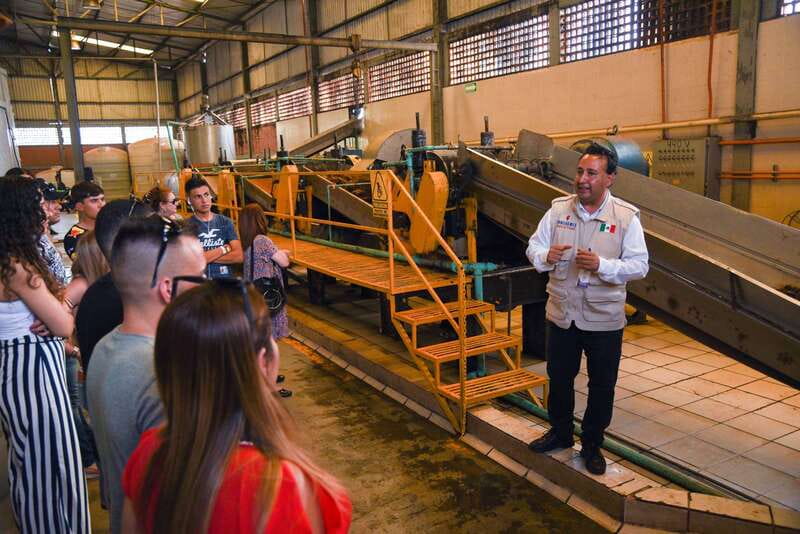 From Guadalajara: Tequila Trail Tour with Tasting - Why the tequila story starts in the fields