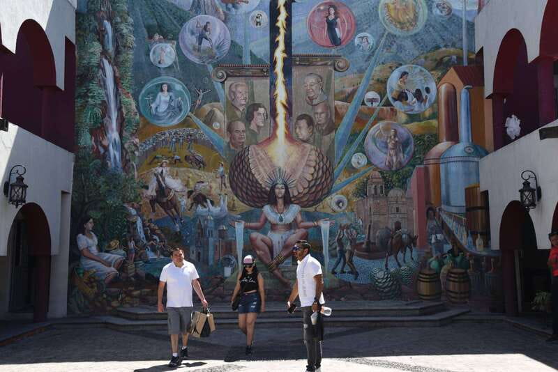 From Guadalajara: Tequila Trail Tour with Tasting - Should you book this Tequila Trail tour?