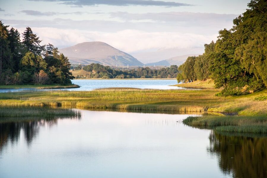 From Inverness: Cairngorms National Park and Whisky Tour - Key points to know before booking