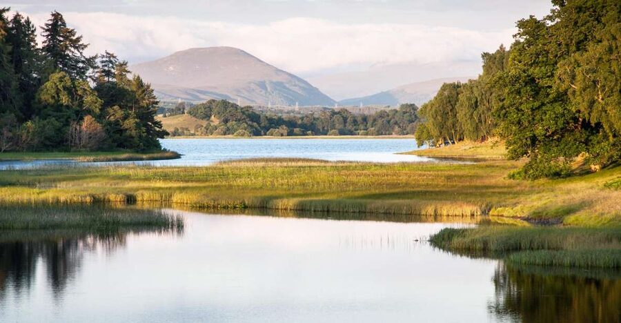 From Inverness: Cairngorms National Park and Whisky Tour - Leaving Inverness for Dava Moor and the Cairngorms