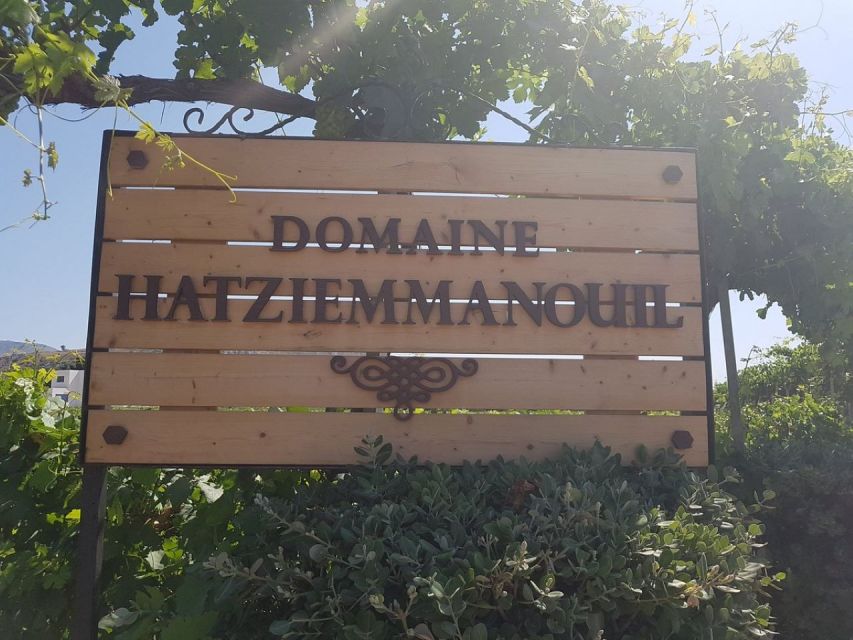 From Kos: Tour of 2 Wineries with Wine Tasting & Small Bites - Two wineries, two sides of Kos wine