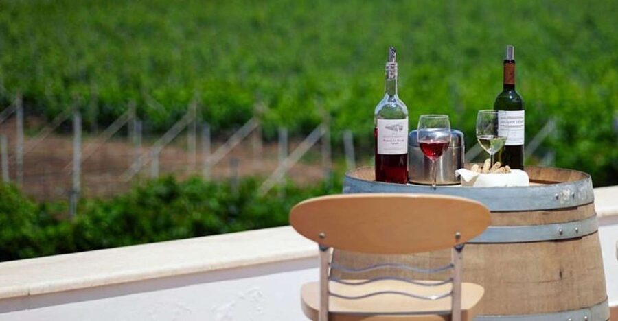 From Kos: Tour of 2 Wineries with Wine Tasting & Small Bites - Akrani Winery: more detail, more food, and a bigger setting