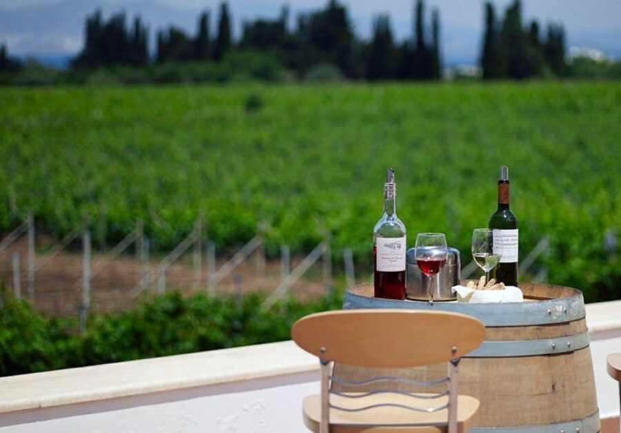 From Kos: Tour of 2 Wineries with Wine Tasting & Small Bites - What you will taste during the afternoon