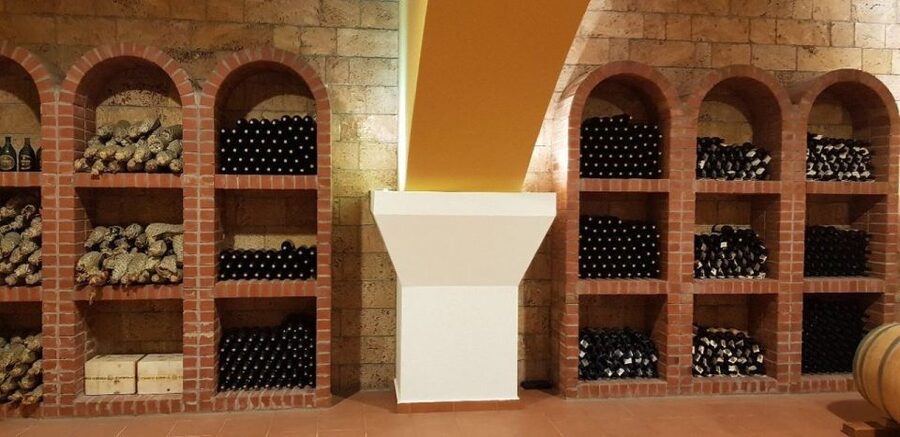 From Kos: Tour of 2 Wineries with Wine Tasting & Small Bites - Learning how to taste wine without the fuss