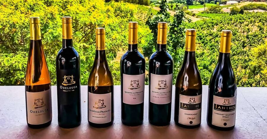 From Lagos: Small-Group 4-Hour Wine Tasting Tour - From Lagos to Silves in a compact minivan