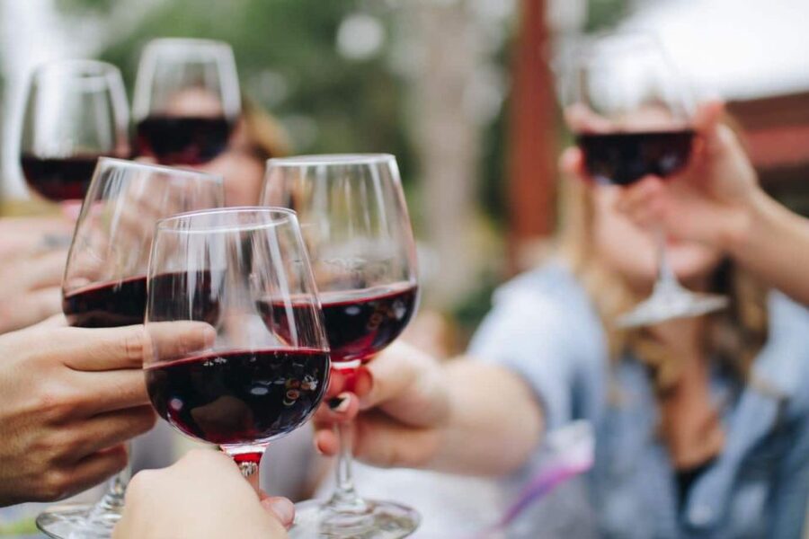 From Lagos: Small-Group 4-Hour Wine Tasting Tour - At the winery, where the tasting takes most of the morning or afternoon
