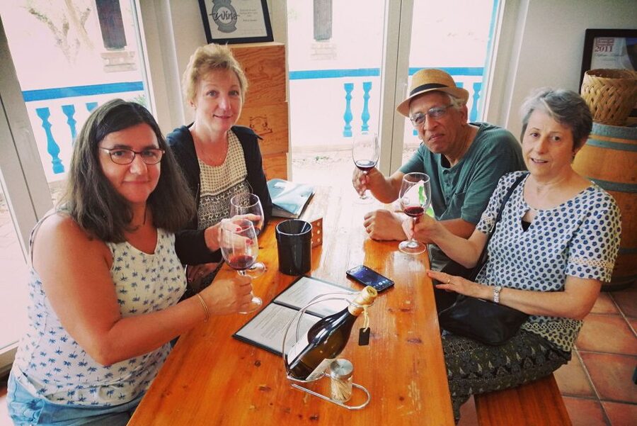 From Lagos: Small-Group 4-Hour Wine Tasting Tour - Who will enjoy this tour most?